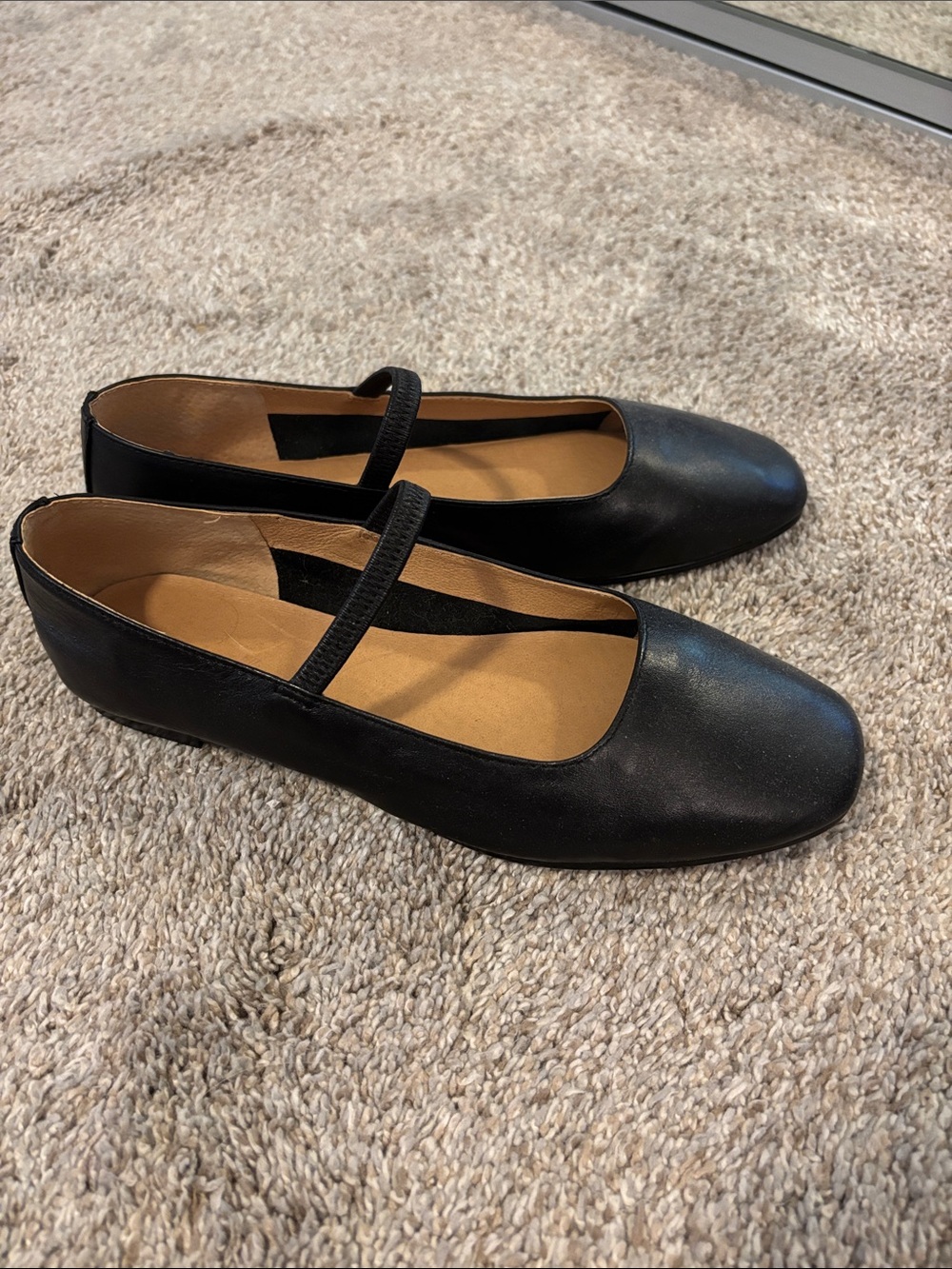 NWOT Madewell the Greta leather Mary Jane ballet flats 6.5